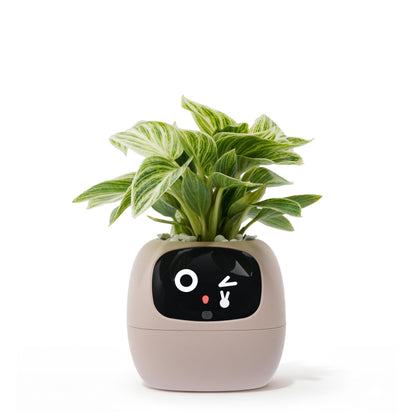 PLANTSIO Ivy AI Smart Planter Intelligent Flower Pot for Home Decoration Plants Companion Neat Desk Setup Gift Pet Planter Robot Guidance on Plant Care with Emojis (Pink)