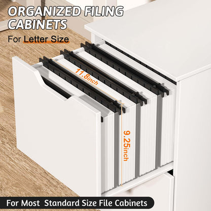 Nordun Extra Capacity Plastic Hanging File Folder Letter Size,12 Pack Reinforced Hang Folders with Heavy Duty 2 Inch Expansion,Durable Hanging Organizer Designed for Bulky Files(Black)
