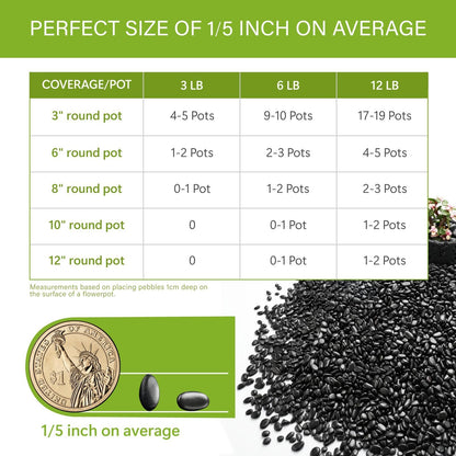 NUPICK 6lb River Rocks for Plants Indoor, 1/5 Inch Black Pebbles for Vases Fillers, Decorative Pea Gravel for Fish Tank, Natural Polished Stones for Succulent, Bonsai, Landscaping, Bird Baths