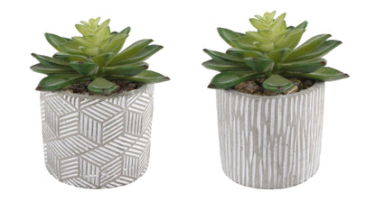 Flora Bunda Mid Century Artificial Plants Cactus Set of 2 Artificial Succulent in 3" Cement Pot Grey Planter, 2 Fake Potted Plants, for Home Office Decorations