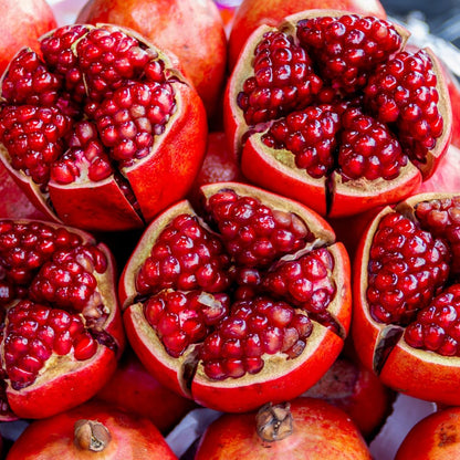 Sweet Pomegranate Tree Live Plant, Red Wonderful Pomegranate Tree Zone 8 to 11, Size 8 to 10 Inch Tall