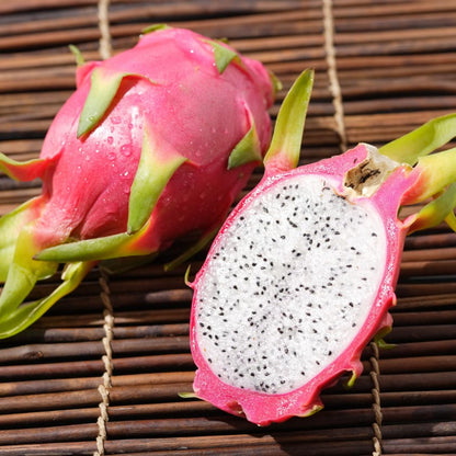 White Dragon Fruit Live Plant, Tropical Sweet Fruit Plant, Well Rooted in 4'' Pot, Ready to Grow
