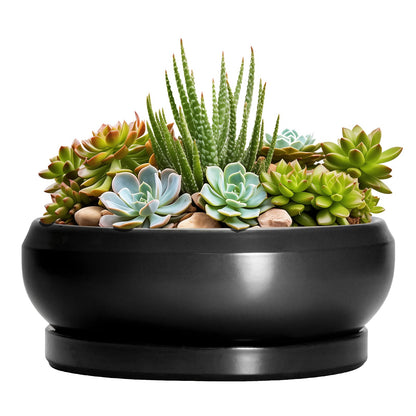 EPFamily Succulent Planters 8 Inch - Ceramic Bonsai Pots for Indoor Outdoor, Round Succulent Pots with Drainage Hole and Saucer, Modern Shallow Planter Bowl, Garden Home Decor, Birthday Gifts, Black