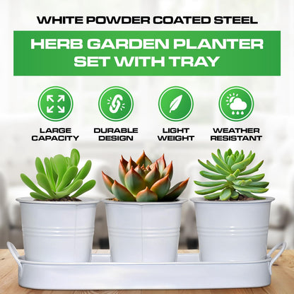 Plexon Herb Planter Indoor Garden Set of 3 with Tray, Metal Herb Pots for Indoor Plants, Round Kitchen Garden Kit Ideal for Windowsill Planter or Countertop, White Powder Coated