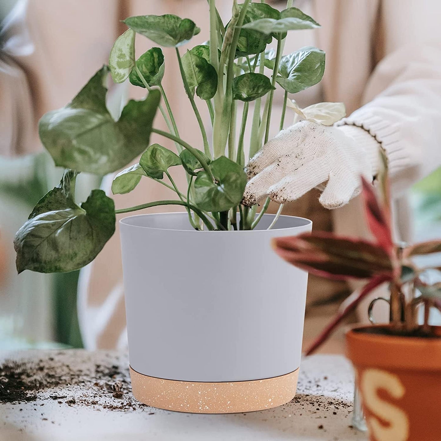 QCQHDU 8 inch Plant Pot, 2 Pack Planters for Indoor Plants with Drainage Holes & Saucer, Outdoor Flower Pots Home Garden Modern Decor