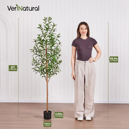 VeriNatural 6FT Artificial Olive Tree Indoor – Real Wood Trunk Tall Faux Olive Tree, Large Fake Potted Plant for Home Decor Living Room& Office Decor,VN245