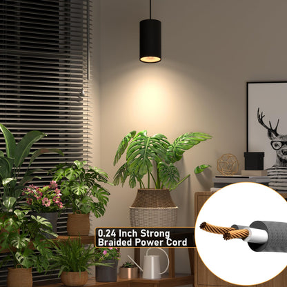 40W Plant Lights for Indoor Growing, Hanging Plant Lamp for Indoor Plants, Large Tall Plant, Garden, Flowers, Greenhouse, with Timer and 15ft Braided Cord, 3000K Full Spectrum, COB Bulb Aluminum Black