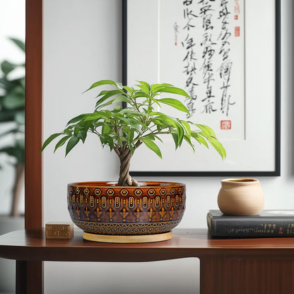 Fivepot Bonsai Pots - 8 Inch Ceramic Planter with Drainage Hole and Saucer, Boho Round Shallow Succulent Bowl for Indoor Plants Flower, Room Decor, Gifts for Plant Lovers, Brown