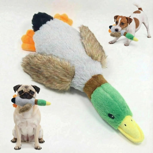 Paw-FECT Piece Mallard Duck Toy, Squeaky Plush Toy, Realisitic Design and Soft Durable Material, Crinkle Wings, Great for Small/Medium Size Dogs, for Teething and Chewing