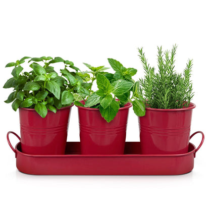 Plexon Herb Planter Indoor Garden Set of 3 with Tray, Metal Herb Pots for Indoor Plants, Round Kitchen Garden Kit Ideal for Windowsill Planter or Countertop, Red Powder Coated