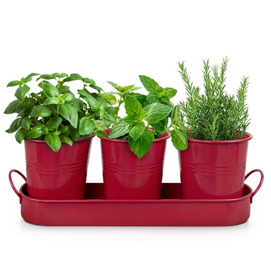 Plexon Herb Planter Indoor Garden Set of 3 with Tray, Metal Herb Pots for Indoor Plants, Round Kitchen Garden Kit Ideal for Windowsill Planter or Countertop, Red Powder Coated