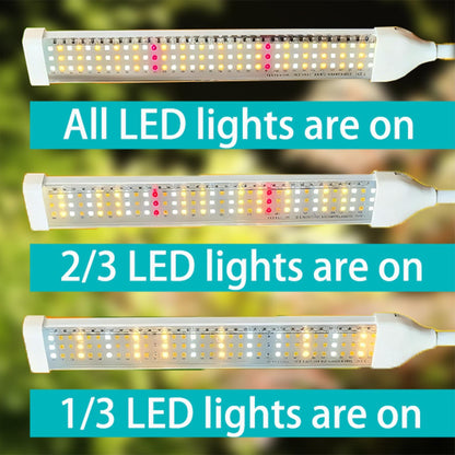 Secefeao 210 LED Grow Lights for Indoor Plants Full Spectrum, LED Plant Light with Stand, Adjustable Height, Plant Grow Lights with Auto 4/8/12/H Timer for Indoor Tall Plants.