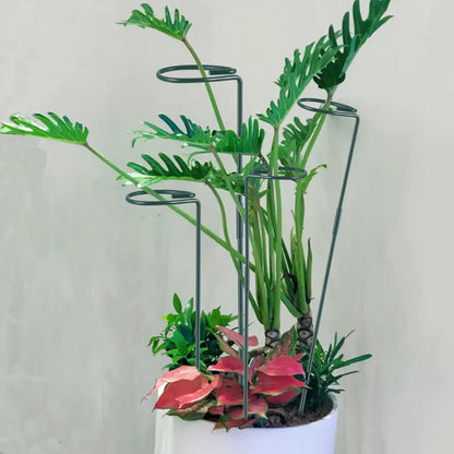 Plant Stake Support - 6 Pack Adjustable Height 12" or 24", Garden Support Stake Plant Cage Support Rings, Single Stem Plant Support Stakes, for Flowers Amaryllis Tomatoes Peony Lily Rose (24inch)