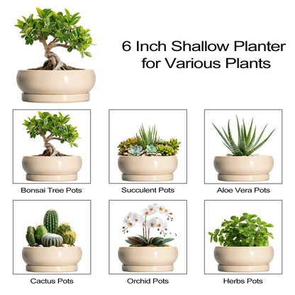 EPFamily Small Bonsai Pots - 6 Inch Ceramic Succulent Planters for Indoor Plant Outdoor, Shallow Planter with Drainage Hole and Saucer, Round Succulent Pots, Kitchen Decor, Gifts for Women Men, Beige