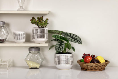 Docrin 3-Pack Ceramic Planters Set - 6.5"+5.3"+4" Dual-Tone Flower Pots with Drainage Holes, Modern Indoor Outdoor Planters for Succulents/Herbs/Large Plants, Home Office (Brownish Black & White)