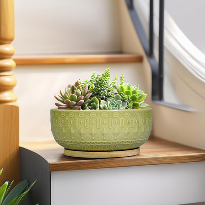 Fivepot Bonsai Tree Pot - 8 Inch Ceramic Succulent Pots with Drainage Hole and Saucer, Boho Round Shallow Planter Bowl for Indoor Plants Flower, Office Decor, Gifts for Women & Men, Green