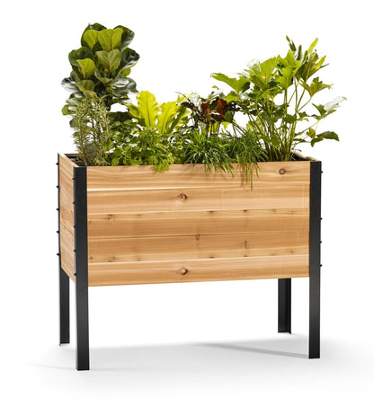 EARTH ELEVATED 100% Canadian Cedar Wood Elevated Garden Bed for Gardening - Planter Pot to Grow Herbs Flowers, and Vegetables at Home Indoor and Outdoor Patio Balcony Deck - 18” x 36” x 30”