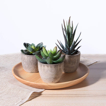 Cabilock Ounona 3pcs Artificial Succulent Plants Set with Pots - Realistic Faux Mini Succulents for Home, Office, and Aesthetic Decor - Perfect for Desk, Living Room, and Bathroom