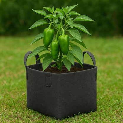 HYK MART Square Geo Fabric Grow Bag 400 GSM Durable Breathable UV Resistant Reusable Plant Container for Herbs, Vegetables Flowers Space Saving Gardening Pack of 2 (15 inch) (Black)
