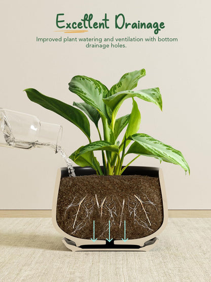 LE TAUCI Plant Pots, 4.1+5.1+6.5 inch, Set of 3, Ceramic Planters with Drainage Hole and Saucer, Indoor Flower Pot with Hole Mesh Pad, Gifts for Mom, Black