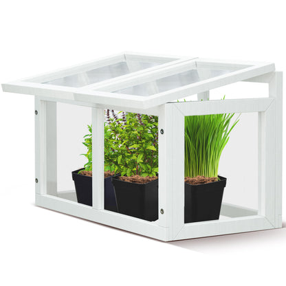 Mini Tabletop Greenhouse 12"x8" – Compact Indoor Plant House with Clear Acrylic Panels & Wood Frame with 4" Pots for Herbs, Seedlings, Cuttings & Propagation - Cat Safe