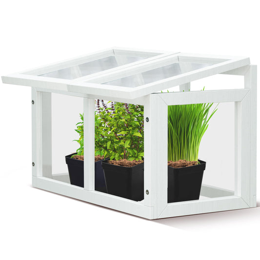 Mini Tabletop Greenhouse 12"x8" – Compact Indoor Plant House with Clear Acrylic Panels & Wood Frame with 4" Pots for Herbs, Seedlings, Cuttings & Propagation - Cat Safe