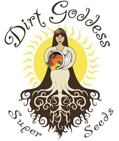 Dirt Goddess Super Seeds Dark Green Zucchini Seeds (1 Lb) Non GMO Bulk
