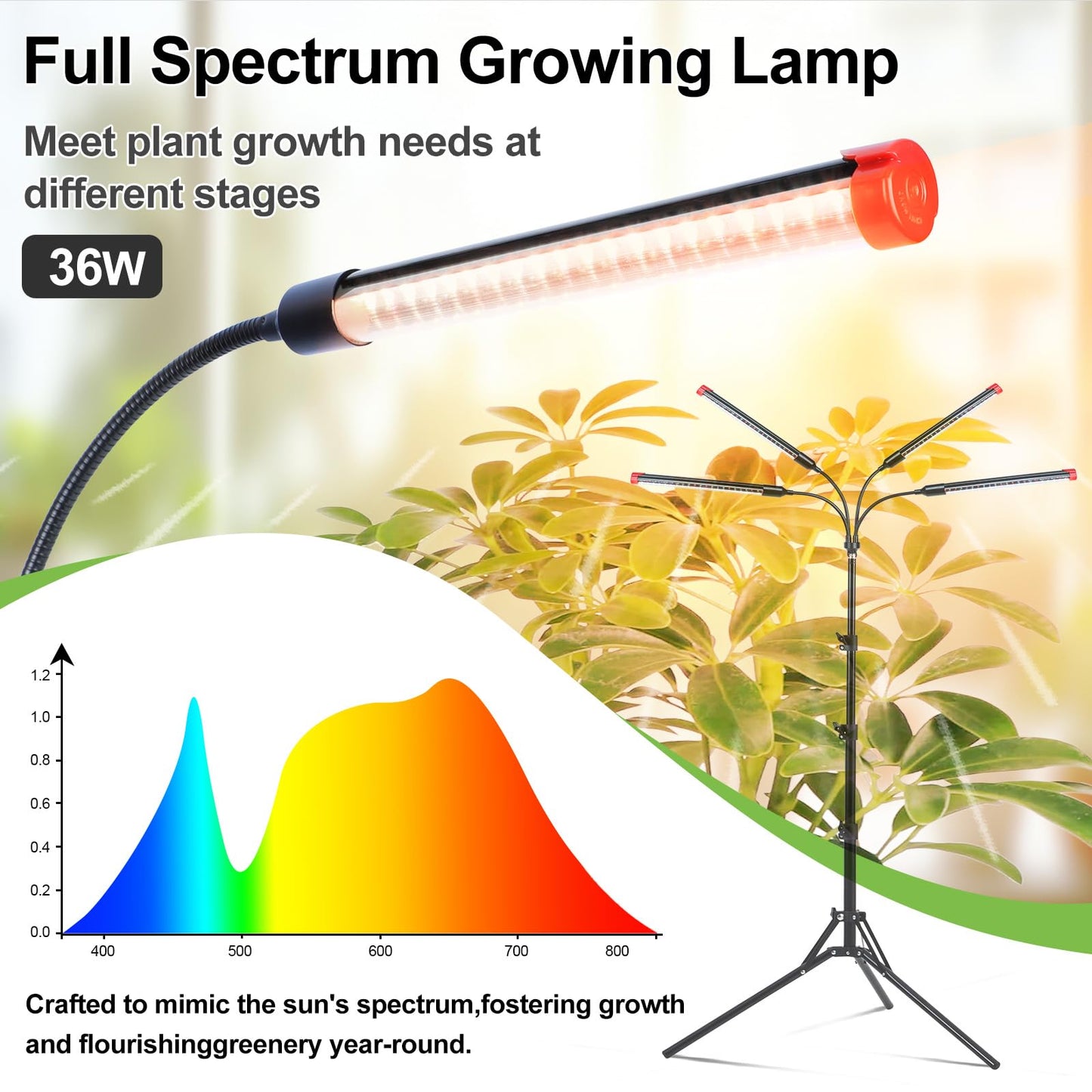 FRGROW 4Head Grow Light with Stand for Tall Indoor Plants, Bonsai Tree, Bright Full Spectrum Plant Growing Lamps, 4/8/12/16/20H Timer, 36 Watt Power Draw, NO Need Adapter, 360° Gooseneck