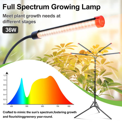 FRGROW 4Head Grow Light with Stand for Tall Indoor Plants, Bonsai Tree, Bright Full Spectrum Plant Growing Lamps, 4/8/12/16/20H Timer, 36 Watt Power Draw, NO Need Adapter, 360° Gooseneck