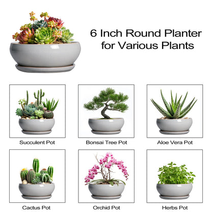 SQOWL Succulent Planters 6 Inch - Ceramic Bonsai Pots with Drainage Hole and Saucer, Shallow Planter for Indoor Plants Outdoor, Round Ceramic Pots for Plants Cactus, Room Decor, Garden Gifts, Gray