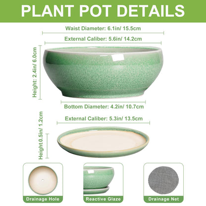 SQOWL Succulent Pots 6 Inch - Ceramic Bonsai Planter for Indoor Plants Outdoor, Shallow Planter with Drainage Hole and Tray, Round Planters for Cactus Flower, Office Decor, Gardening Gifts, Green