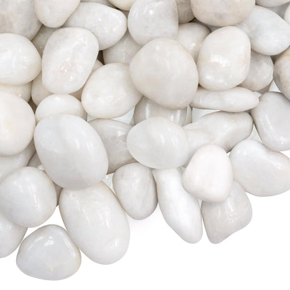 VINICS 20lbs Large River Rocks, 2-3 Inch White Pebbles for Plants, High Polished Natural Decorative Stones for Aquarium Vase Filler Fish Tank Landscaping Garden