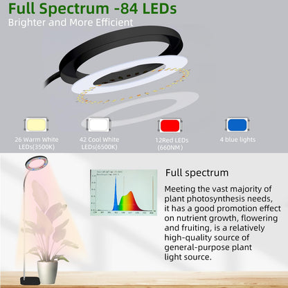LCCYJYZY Full Spectrum LED Grow Light, 84 LEDs with 3 Color Modes, 67in Adjustable Gooseneck, 360° Rotating Head, Desktop Plant Light with Timer, 10 Brightness Levels, (Black)
