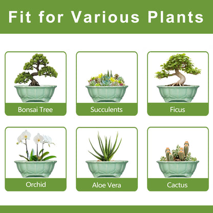 Teagas Bonsai Pots 11 Inch - Ceramic Succulent Pots with Drainage Hole, Oval Planter for Indoor Outdoor, Decorative Ceramic Flower Pot, Home Garden Room Decor, Plant Lover Gifts, Green