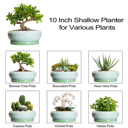 EPFamily Bonsai Pots - 10 Inch Ceramic Succulent Pot with Drainage Hole and Plant Saucer, Succulent Planters for Indoor Outdoor, Round Planter Bowl, Shallow Planter, Home Decor, Gardening Gift, Green