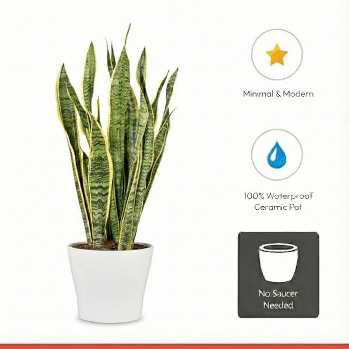 Scheurich Set of 3 Classic Panna Ceramic Plant Pots – 6" Decorative Pots for Indoor Plants - Waterproof&UV-Resistant Planters - Durable, Break-Resistant Design - Made in Germany - 0.4 gal