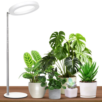 GTRUIIDY Desktop Grow Light, Height Adjustable Grow Lights for Indoor Plants Full Spectrum, 3 Lighting Mode, Halo Grow Light with Timer, Plant Lights for Indoor Growing (White)