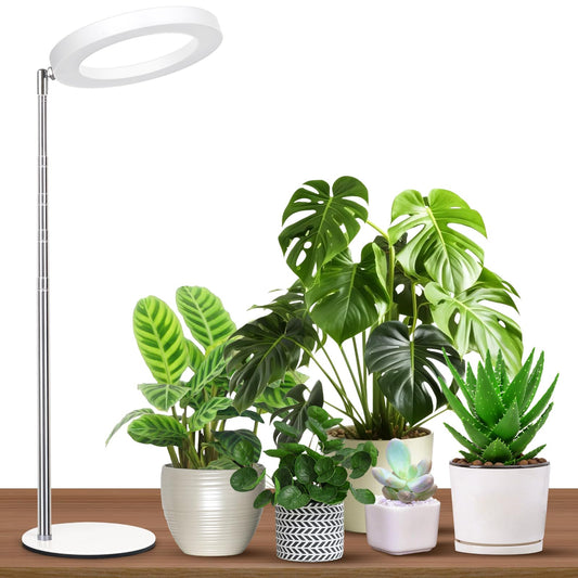 GTRUIIDY Desktop Grow Light, Height Adjustable Grow Lights for Indoor Plants Full Spectrum, 3 Lighting Mode, Halo Grow Light with Timer, Plant Lights for Indoor Growing (White)