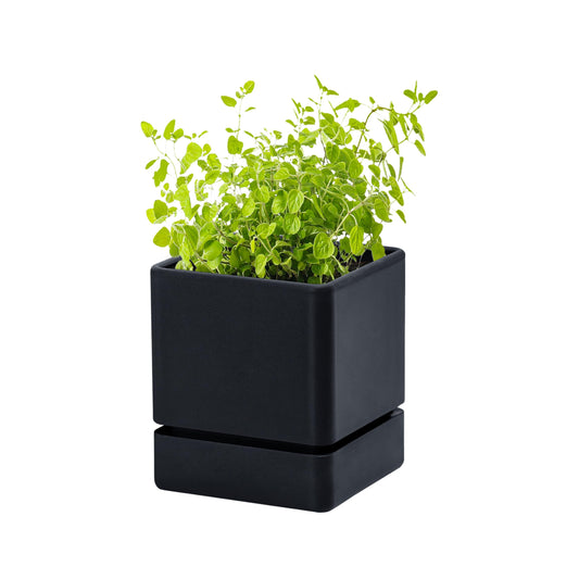 D'vine Dev 4 Inch Herb Planter Pot, Plastic Planter with Drainage Holes and Saucer, Modern Decorative Gardening Pot for Indoor Plants, Flowers, Herbs, Succulents, Black, Set of 1, 76-Y-B1-1
