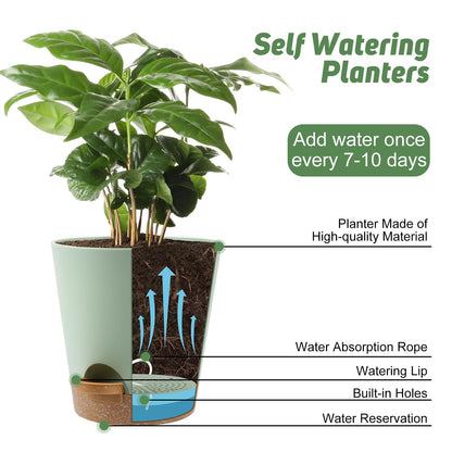 YNNICO 8-Inch Plant Pots, Self-Watering Planters with Drainage Holes & Saucers for Indoor and Outdoor Plants (2-Pack, Green)