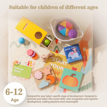 Montessori Toys for Babies 6-12 Months 6 in 1 Learning Educational Toys Set Wooden Toys Play Kit Includes Object Permanence Box, Touch & Match Board, Sensory Ball & Treasure Basket, Soft Baby Book