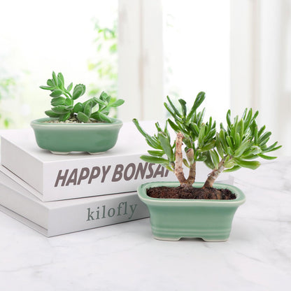Bonsai Planter Succulent 3.7-3.9" (9-10cm) Mini Green Pots Value Set of 2