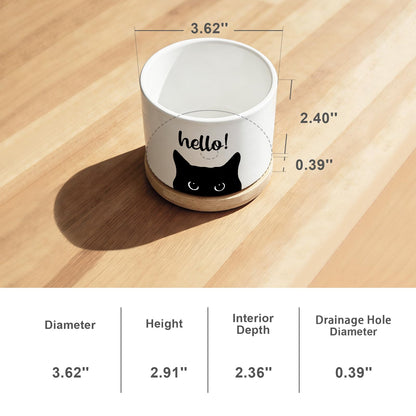 Funny Hello Black Cats Ceramic Plant Pot for Succulent, Cute Cat Cactus Flower Planter for Windowsill Indoor Decor, Home Office Decoration for Plant Lovers Friends Cat Owner Lover (No Plants) (Hello)