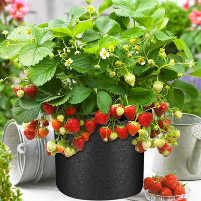 Airsnigi 50 Pack 10 Gallon Grow Bags Bulk, Heavy Duty Thickened Fabric Pots Nonwoven Plant Bags with Handles, Breathable Plant Growing Containers Bags for Nursery Garden Fruit Vegetable Flower