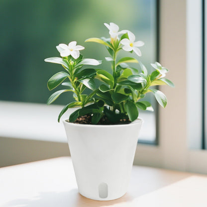 3" Self Watering Pots - 10 Sets Planter Pots for Indoor Plants With Water Level Indicator and Multiple Vents - for House Plants, Flowers, Herbs