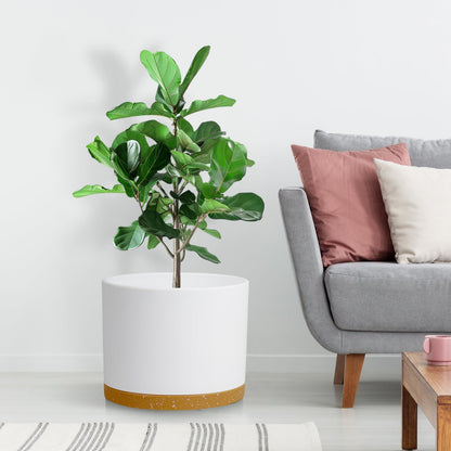 DGJDLWHX Large Plant Pots Set of 3 – 8", 9", 10" Indoor Flower Pots with Drainage Holes and Saucers, Big Planters for Monstera, Fiddle Leaf Fig, Snake Plant – 5 Colors
