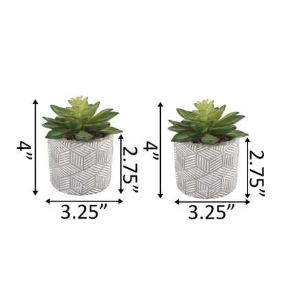 Flora Bunda Mid Century Artificial Plants Cactus Set of 2 Artificial Succulent in 3" Cement Pot Grey Planter, 2 Fake Potted Plants, for Home Office Decorations