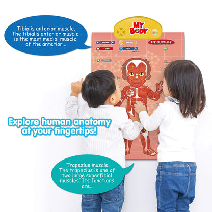 BEST LEARNING i-Poster My Body – Interactive Educational Human Anatomy Talking Toy for Kids Ages 5-12 to Learn Body Parts, Organs, Muscles and Bones Through Fun Sound and Quiz Modes
