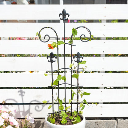 GOOOXIM 31" Trellis for Climbing Plants Indoor - Heavy Duty Metal Support for Potted Plants, Ideal for Vining Plants, Perfect for Tall Monstera & Houseplants, for Gardeners & Plant Lovers