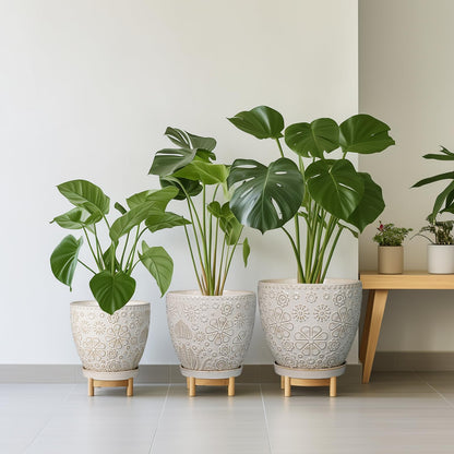 MPotTo 6.9 Inch Plant Pot with Drainage Hole and Saucer Ceramic Planter for Indoor Plant Flower Pot for Orchid Succulents Plants White